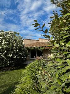 una casa con un jardín con un árbol en La Villa del Sol en Montélimar