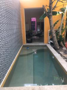 ein Schwimmbad in der Mitte eines Hauses mit einem Baum in der Unterkunft Villa Candita, a unos pasos del Paseo Montejo in Mérida