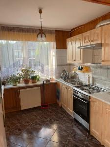 uma cozinha com um lavatório e um fogão forno superior em Noclegi u Eli Zator Energylandia em Zator