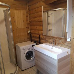 een badkamer met een wasmachine en een wastafel bij Jan in Steendam