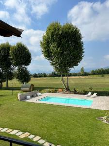 a swimming pool in the middle of a grass field at CASA VOLA in Cuneo