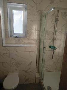 a bathroom with a shower and a toilet and a window at Hotel Bruchsaler Herz in Bruchsal
