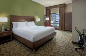 1 dormitorio con 1 cama grande en una habitación en Hilton Garden Inn Chicago Downtown Riverwalk, en Chicago