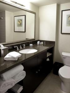 a bathroom with a sink and a toilet and a mirror at DoubleTree by Hilton Charlotte Airport in Charlotte