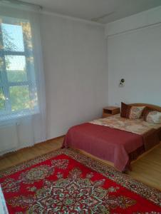 a bedroom with a bed and a red rug at Вілла Сади Єви in Lyubintsy