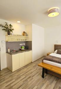 Η κουζίνα ή μικρή κουζίνα στο Hotel Karlova Prague - Mostecka 10 st Depandance