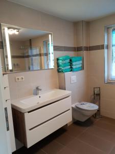 a bathroom with a sink and a toilet and a mirror at Ferienhaus-Windflüchter Hirtenweg 3B in Zingst