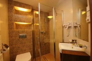 a bathroom with a shower and a toilet and a sink at Chochołowy Dwór in Jerzmanowice