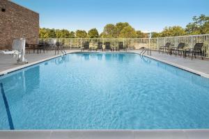 duży basen z niebieską wodą w obiekcie Hilton Garden Inn Charlotte Airport w mieście Charlotte