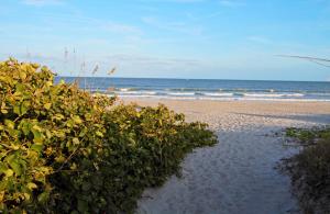 a beach with bushes and the ocean in the background at Hampton Inn Cocoa Beach in Cocoa Beach
