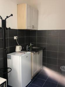 Kuchyň nebo kuchyňský kout v ubytování Apartmani Breze