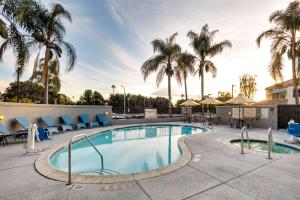 a pool at a resort with palm trees at Hampton Inn Los Angeles/Carson in Carson