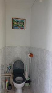 a bathroom with a toilet and a picture on the wall at La campagne a la mer in Piédemont