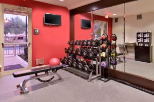 Fitness centrum a/nebo fitness zařízení v ubytování Hilton Garden Inn Addison