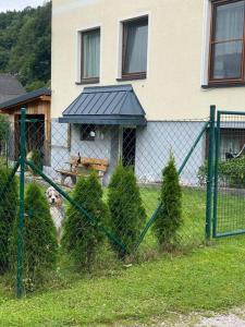 Zahrada ubytování Gemütliche kleine Wohnung mit Garten