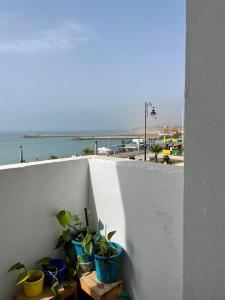 a group of potted plants sitting on a ledge at Résidence artistique Vue sur mer in Larache