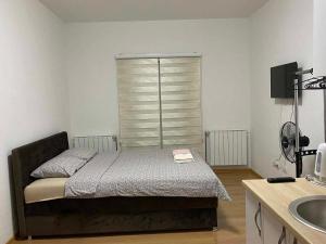 a bedroom with a bed and a sink at Apartmani Bella in Krževići