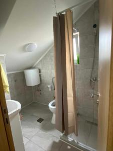 a small bathroom with a toilet and a shower at Apartmani Bella in Krževići