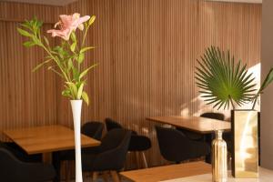 Um restaurante ou outro lugar para comer em Urbana Suites