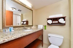 a bathroom with a sink and a mirror and a toilet at Hampton Inn Detroit/Auburn Hills South in Auburn Hills