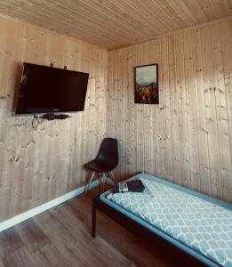 Brzozowa Aleja في رادافا: غرفة بها سرير وتلفزيون على الحائط