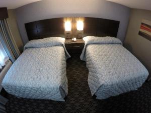 Voodi või voodid majutusasutuse Red Carpet Inn Elmwood toas
