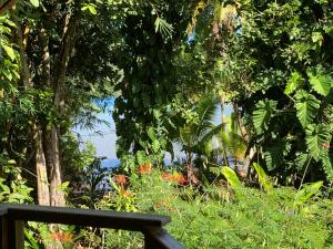 a view of the ocean through the trees at Pension TUPUNA in Haapu