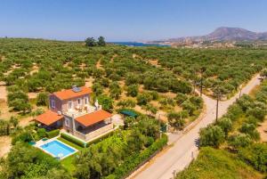 an aerial view of a house with a swimming pool at Villa Giannis in Áyios Andónios