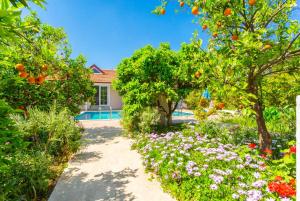 Zahrada ubytování Villa Duman 2