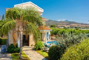 a villa with a palm tree and a swimming pool at Villa Charianna in Mavroli