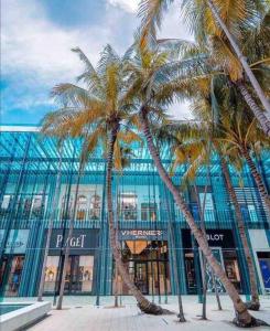 マイアミにあるStanza Hearth of Miami Design District and Wynwood, Parking, Laundry, Workstation, Fully equipped Apts, 24/7 Guest support #2のショッピングセンター前のヤシの木