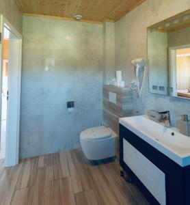 W łazience znajduje się umywalka, toaleta i lustro. w obiekcie Brzozowa Aleja w mieście Radawa