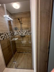 a bathroom with a shower and a sink at Pap köz apartman in Sárvár