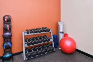 Fitness centrum a/nebo fitness zařízení v ubytování Hampton Inn Pecos