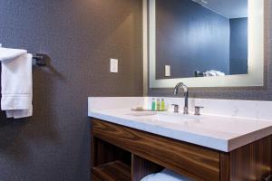 DoubleTree by Hilton Appleton, WI的一间浴室