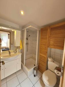 La salle de bains est pourvue de toilettes, d'un lavabo et d'une douche. dans l'établissement Noclegi Przy Niemczówce, à Chęciny