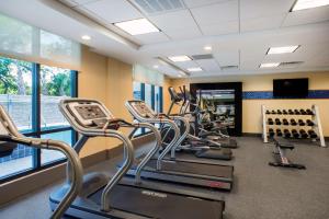 a gym with a row of treadmills and ellipticals at Hampton Inn Gulf Shores in Gulf Shores