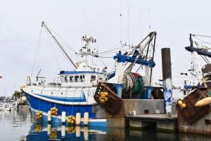 a blue and white boat docked at a dock at La Capitainerie in Le Tréport
