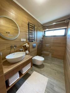 a bathroom with a sink and a toilet and a mirror at Grey apartments in Slavske