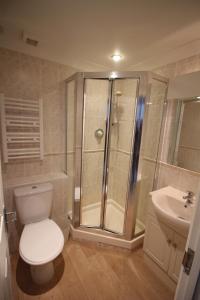 a bathroom with a toilet and a shower and a sink at Atlantic Reach Cottages, Newquay 6 miles, 2 Bedrooms in Newquay