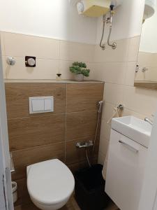 a small bathroom with a toilet and a sink at Studio apartman Peti in Varaždin