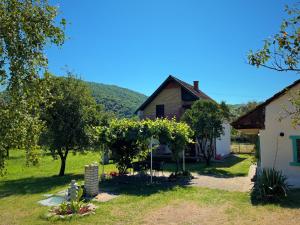 a house with a bunch of grapes in the yard at Baba's House in Raška