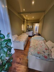 Zimmer mit 3 Betten und einer Pflanze in der Unterkunft De Doorgang in Groningen