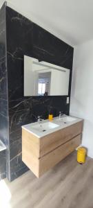 a bathroom with a sink and a mirror at Bel appartement lumineux 3 chambres in Lay-Saint-Christophe