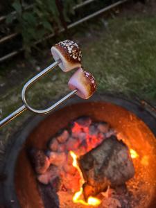 a pair of mushrooms cooking in a pot of food at Willowbank shepherds hut in Taunton