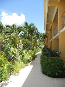 a walkway next to a building with palm trees at Hampton Inn Key Largo in Key Largo