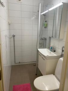 La salle de bains est pourvue de toilettes, d'un lavabo et d'un miroir. dans l'établissement City apartment Pikkuvuori, à Turku