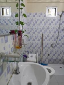 uma casa de banho com um WC e um lavatório com uma planta em NAFI'0 em Gorée