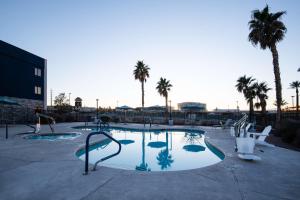拉斯維加斯的住宿－拉斯維加斯亨德森漢普頓套房酒店，棕榈树和棕榈树的游泳池