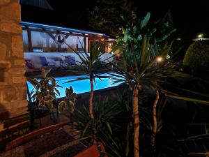 two palm trees in front of a swimming pool at night at Andrea Villa Keszthely in Keszthely